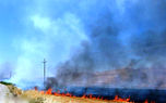 آتش سوزی در جنگل های باشت ایران / حادثه وحشتناک برای همیار محیط بان